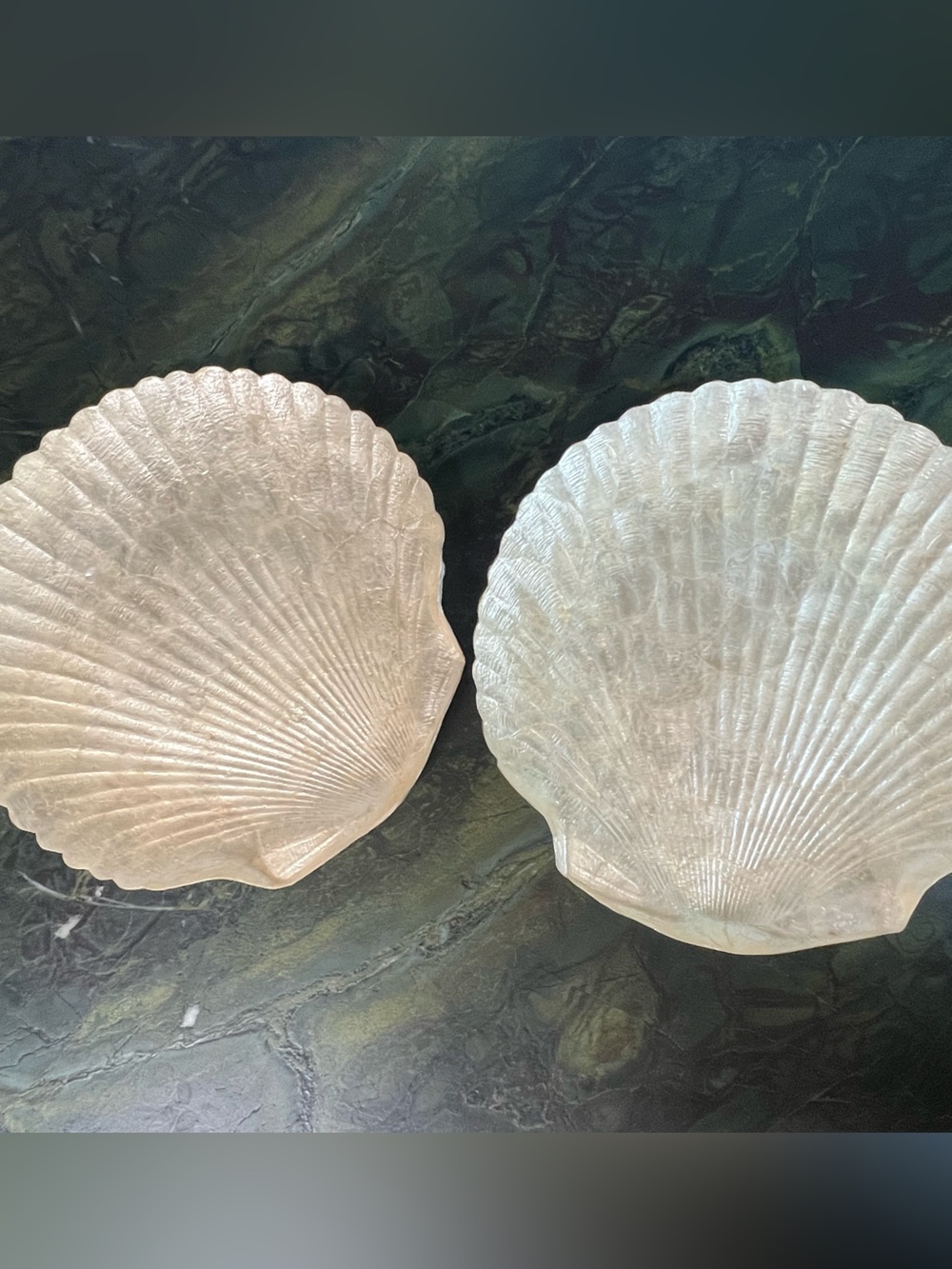 Iridescent capix Seashell Dishes - Pair